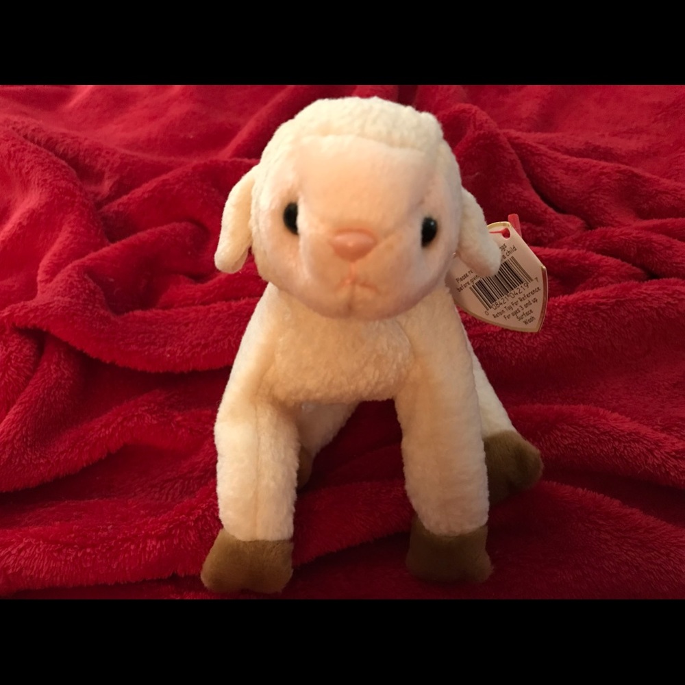 TY BEANIE BABIES (EWEY)